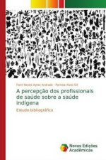 A percepç?o dos profissionais de saúde sobre a saúde indígena