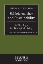 Schleiermacher and Sustainability