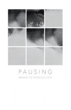 Pausing: A book of reflections in Art and Poetry