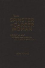 From Spinster to Career Woman