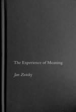 Experience of Meaning