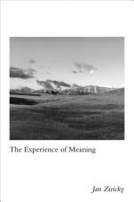 Experience of Meaning