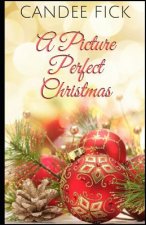 A Picture Perfect Christmas
