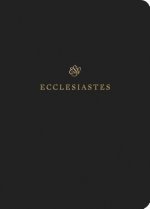 ESV Scripture Journal: Ecclesiastes