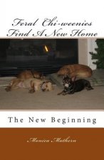 Feral Chi-weenies Find A New Home: The New Beginning