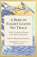 Bird in Flight Leaves No Trace
