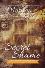 Secret Shame: Lilltlemoon Investigations