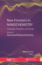 New Frontiers in Nanochemistry: Concepts, Theories, and Trends