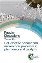 Hot-electron Science and Microscopic Processes in Plasmonics and Catalysis