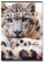 Sešity Wildlife A4 linka