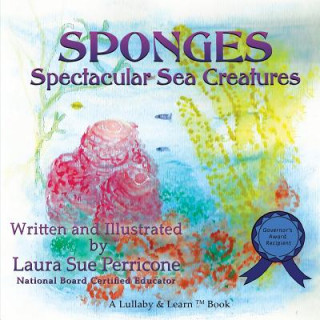 SPONGES, Spectacular Sea Creatures