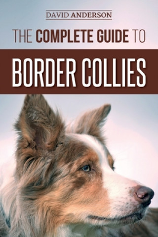 Complete Guide to Border Collies