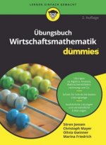 UEbungsbuch Wirtschaftsmathematik fur Dummies 2e