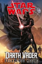 Star Wars Comics: Darth Vader (Ein Comicabenteuer) - Brennende Meere. Tl.3