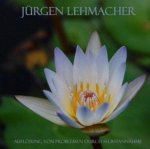 Auflösung von Problemen durch Selbstannahme, 1 Audio-CD