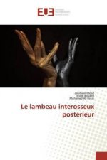 Le lambeau interosseux postérieur