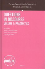 Questions in Discourse: Volume 2: Pragmatics