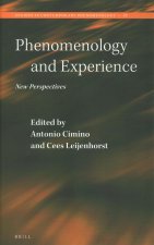 Phenomenology and Experience: New Perspectives