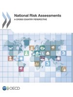 National risk assessments