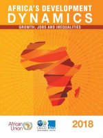 Africa's development dynamics
