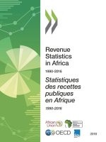 Revenue statistics in Africa