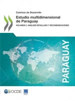 Caminos de Desarrollo Estudio Multidimensional de Paraguay Volumen 2. Analisis Detallado Y Recomendaciones
