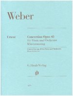 Concertino op. 45 für Horn und Orchester