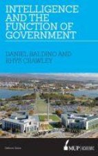 Intelligence and the function of government