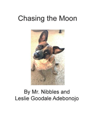 Chasing the Moon