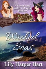Wicked Seas: A Rowan Gray and Ivy Morgan Mystery