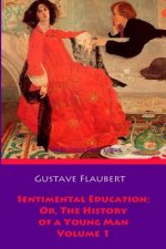 Sentimental Education; Or, The History of a Young Man. Volume 1