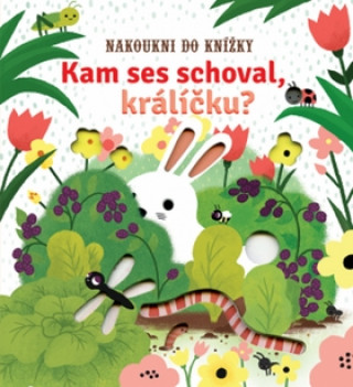 Kam ses schoval, krďż˝lďż˝ďż˝ku?