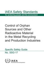 Control of orphan sources and other radioactive material in the metal recycling and production industries