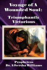 Voyage of a Wounded Soul: Triumphantly Victorious