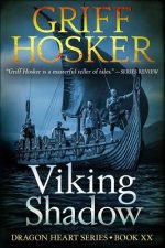 Viking Shadow