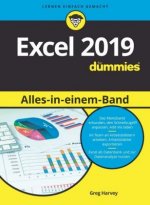 Excel 2019 Alles in einem Band fur Dummies