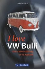 I love VW-Bulli - Eine Liebeserklärung in 55 Kapiteln