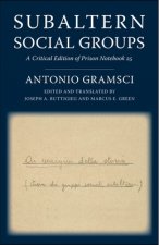 Subaltern Social Groups