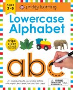 Wipe Clean Workbook: Lowercase Alphabet (enclosed spiral binding)