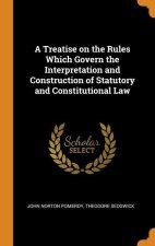 Treatise on the Rules Which Govern the Interpretation and Construction of Statutory and Constitutional Law