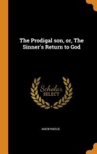 Prodigal Son, Or, the Sinner's Return to God