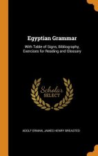 Egyptian Grammar