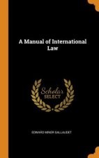 Manual of International Law