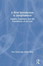 New Introduction to Jurisprudence