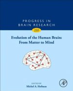 Evolution of the Human Brain: From Matter to Mind