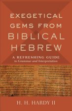 Exegetical Gems from Biblical Hebrew