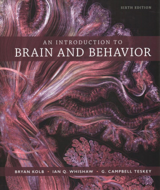 An Introduction to Brain and Behavior