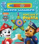 Pups Save a Pi?ata (a Paw Patrol Water Wonder Storybook)