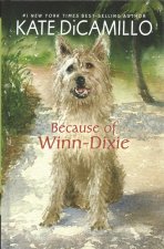 Because of Winn-Dixie