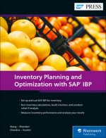 Inventory Planning and Optimization wih SAP IBP